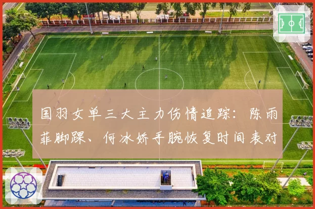 国羽女单三大主力伤情追踪：陈雨菲脚踝、何冰娇手腕恢复时间表对比