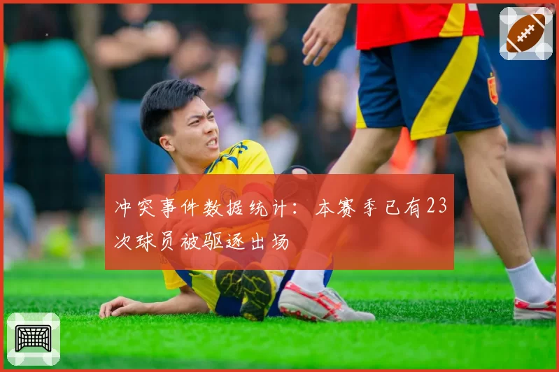 冲突事件数据统计：本赛季已有23次球员被驱逐出场